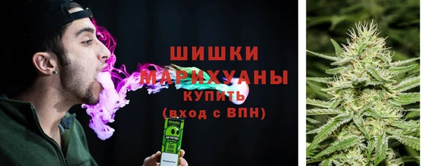 дживик Ладушкин