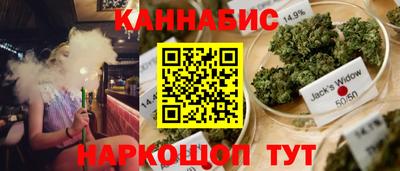 apvp Камышлов