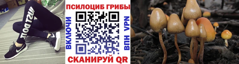 Псилоцибиновые грибы мицелий  Янаул 