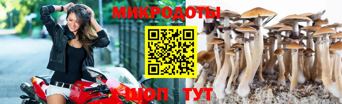 Псилоцибиновые грибы мицелий  Вход с VPN  где найти   Янаул  Псилоцибиновые грибы GOLDEN TEACHER 